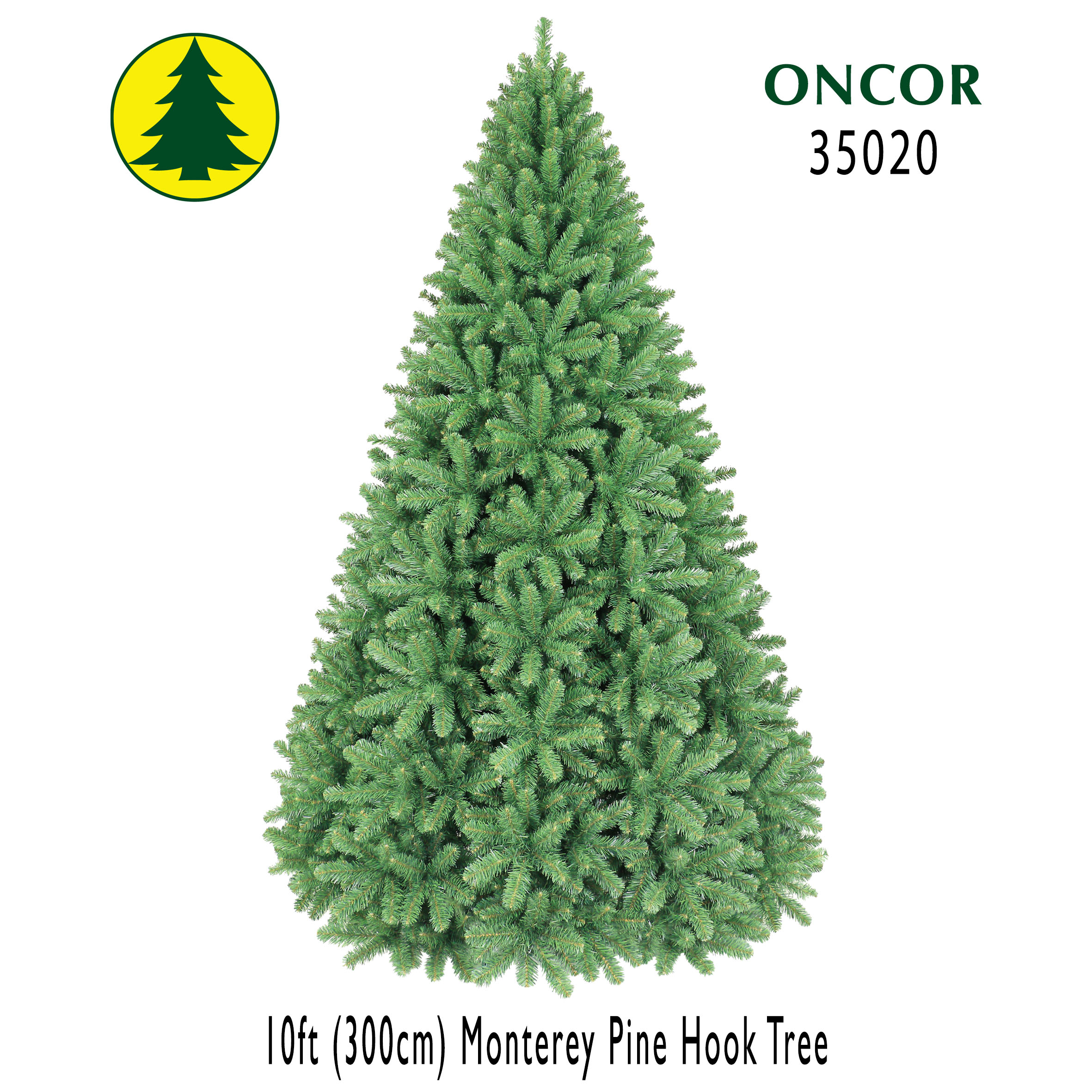 10Ft_35020_Box.jpg