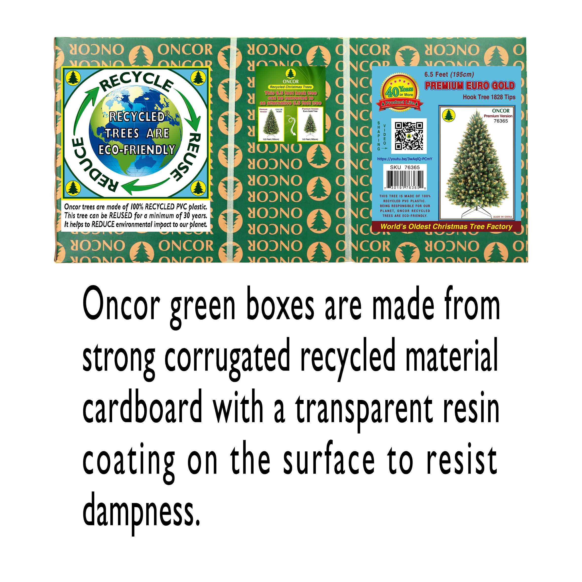 slide1_76365.jpg